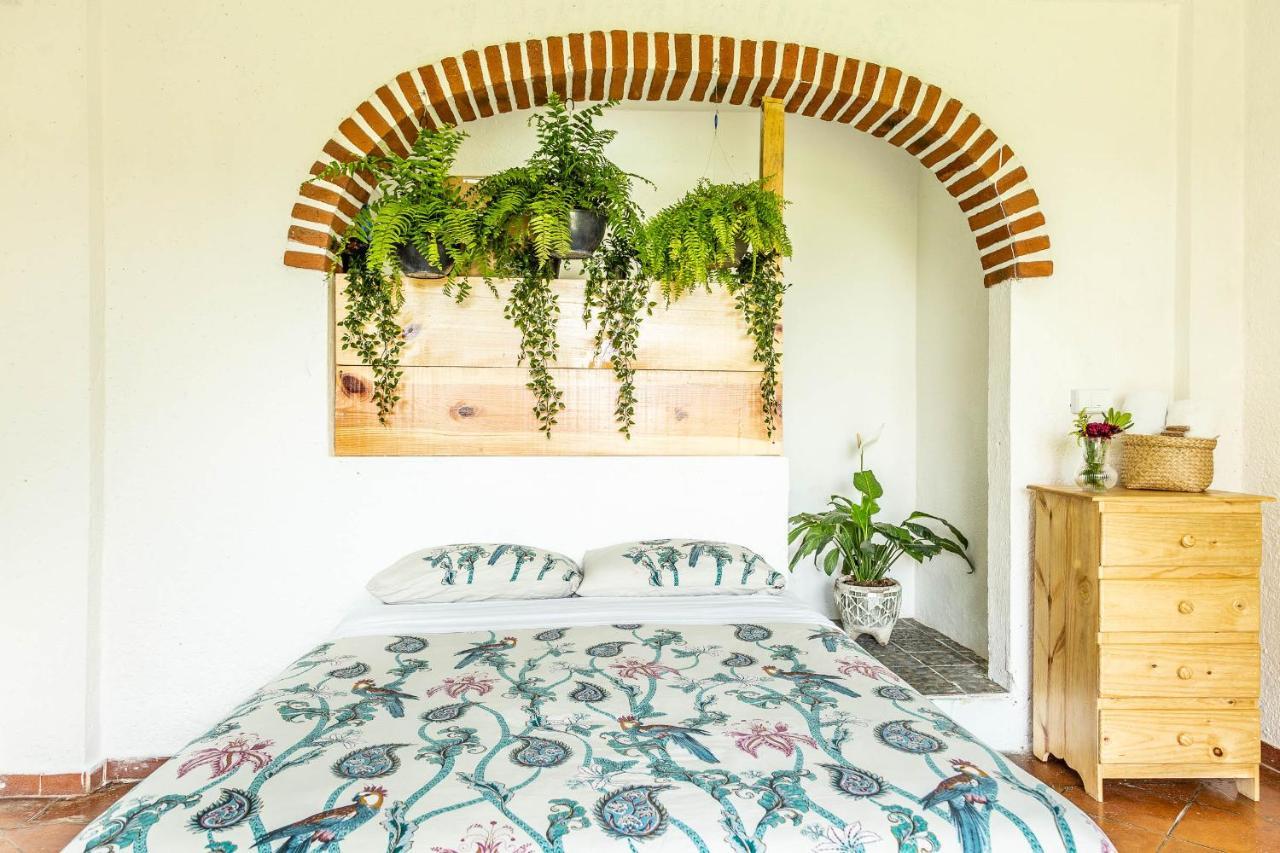 Colibri Turquesa Hotel Tepoztlan Bagian luar foto